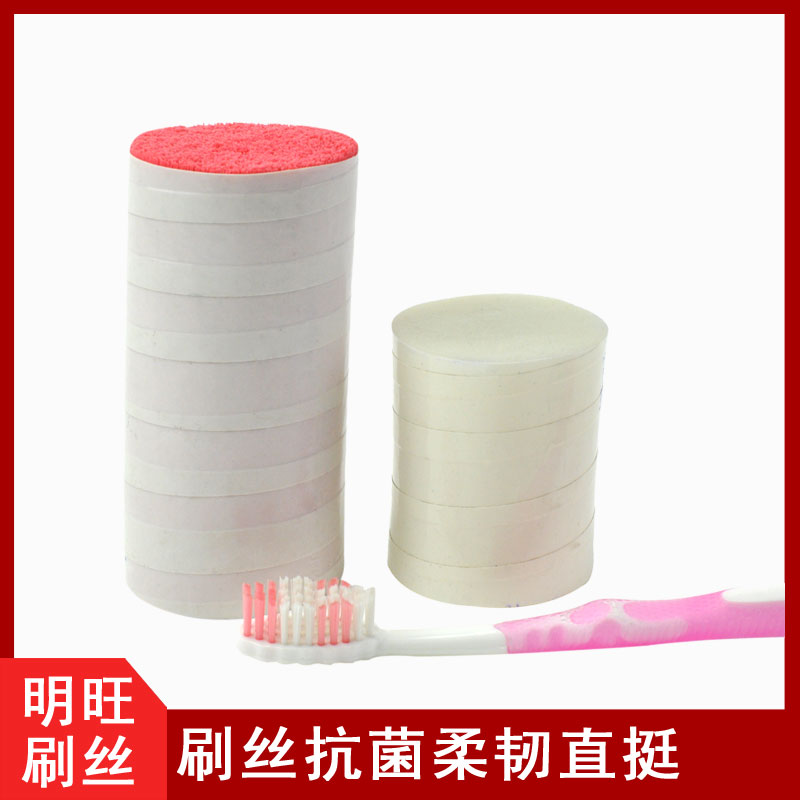 塑膠刷毛生產(chǎn)廠(chǎng)
